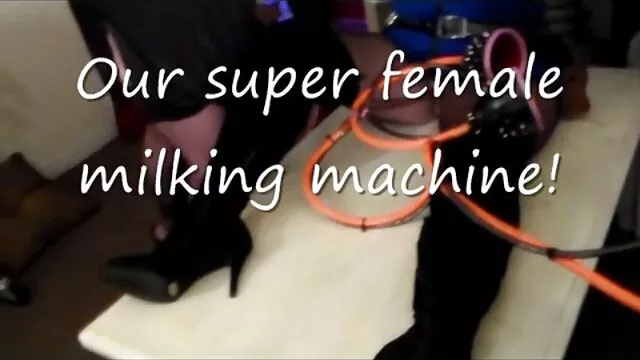 犬をドレスアップしようとした後、肛門を叩いた 女の子 向け アダル