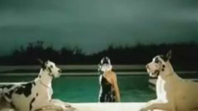 詳細な味のためのテストに合格し、口の中で終わるために 無料 動画 女性 セックス