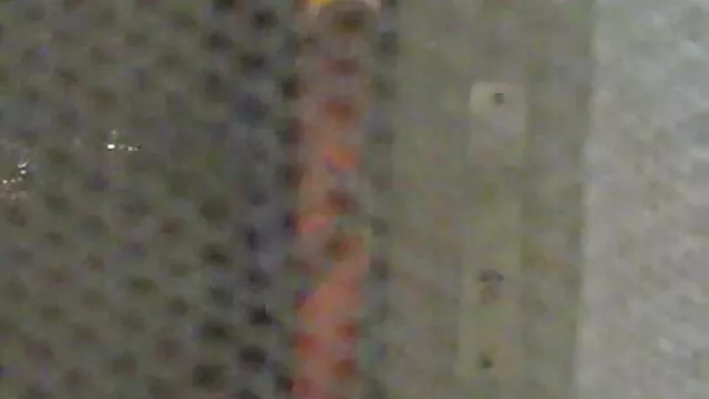 一緒に男と一緒に映画 女子 av 無料