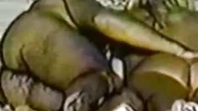 成熟した喫煙ルームで仕事 女性 が 見る エロ 画像